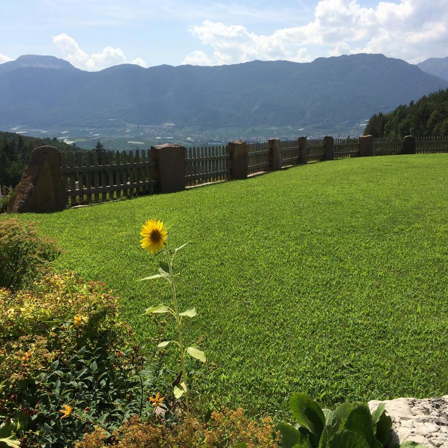 Agriturismo Alpenvidehof Vila Coredo Exterior foto